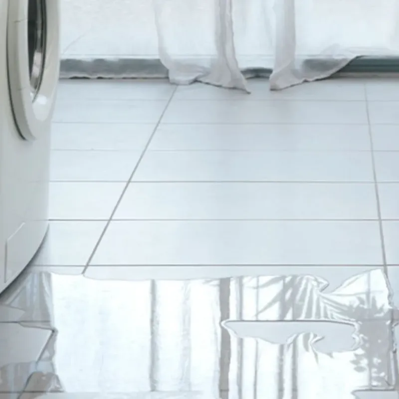 Appliance Leak Cleanup in Arkansas City, KS