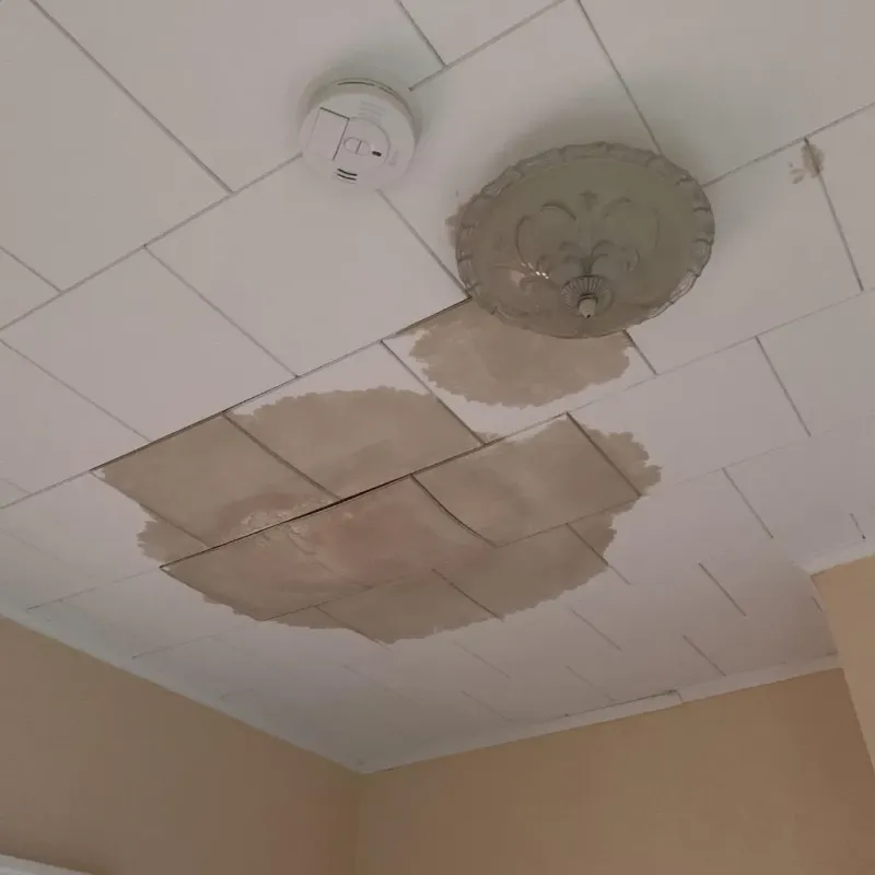 Ceiling Water Damage Repair in Arkansas City, KS