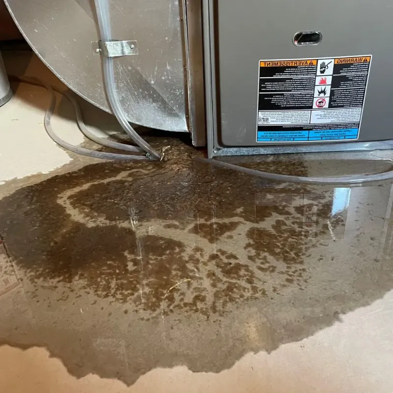 Pipe Burst and Leak Restoration in Arkansas City, KS