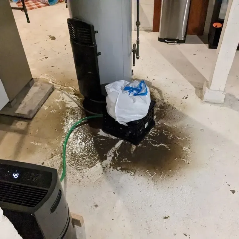 Sewage Backup Cleanup Service in Arkansas City, KS